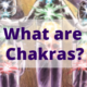 What are chakras as explained by healing touch practitioner, and author Roseanne D'Erasmo Script