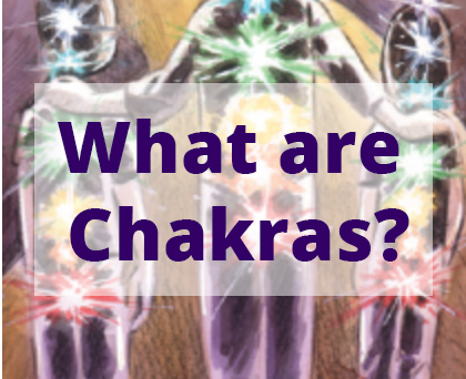 What are chakras as explained by healing touch practitioner, and author Roseanne D'Erasmo Script